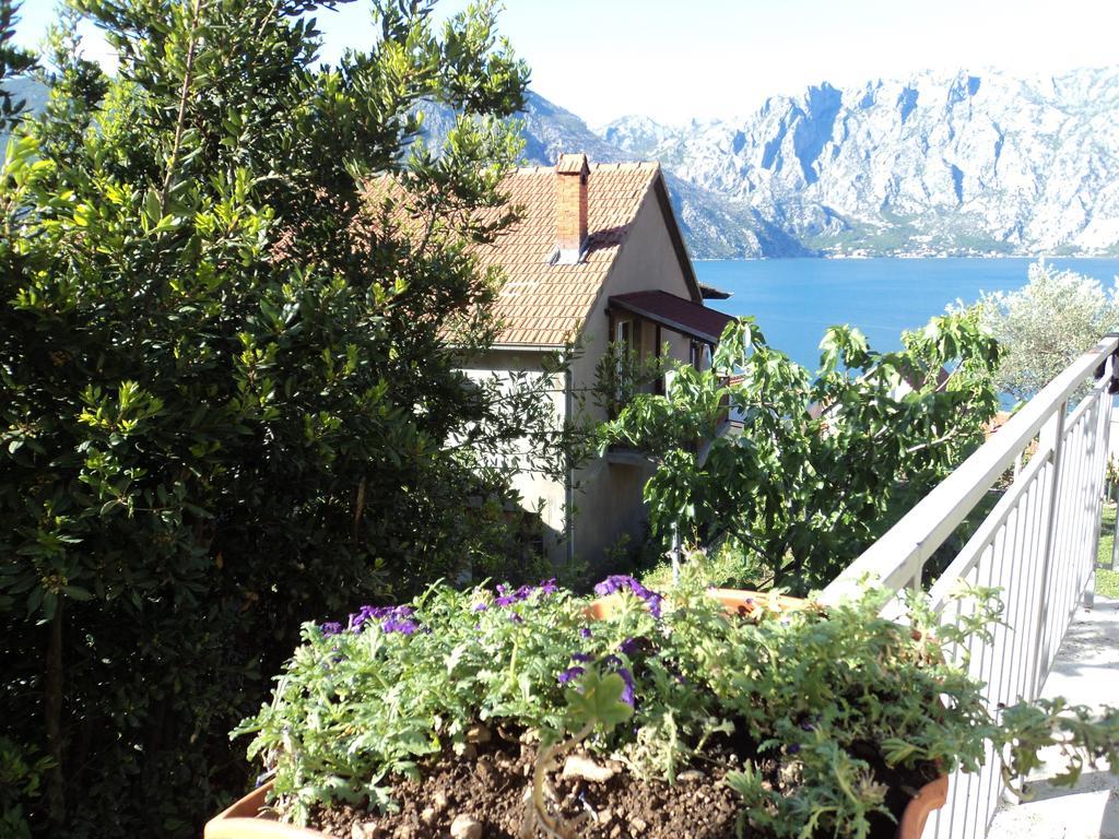 Guest House Pajovic Kotor Kültér fotó