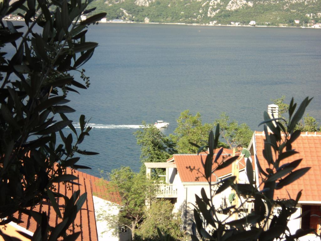 Guest House Pajovic Kotor Kültér fotó