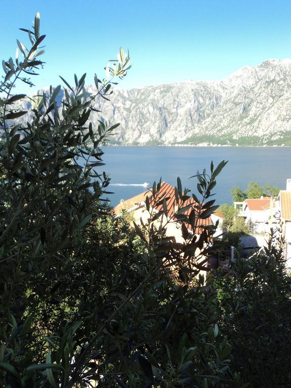 Guest House Pajovic Kotor Kültér fotó